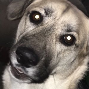 Meet your Posher, Grace